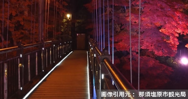 帰れマンデー那須塩原の紅の吊り橋ライトアップは何時から